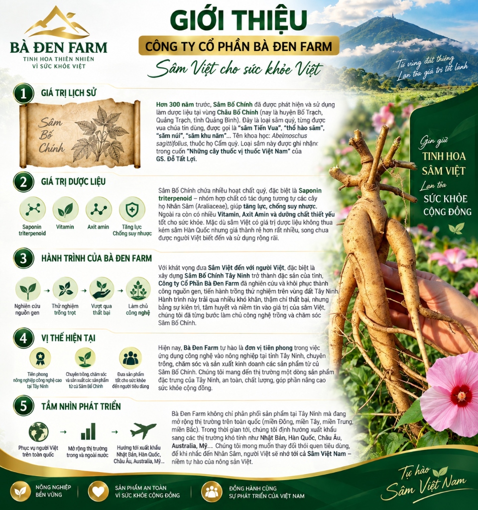 Infographic Giới thiệu Công ty CP Bà Đen Farm - Sâm Việt cho sức khỏe Việt