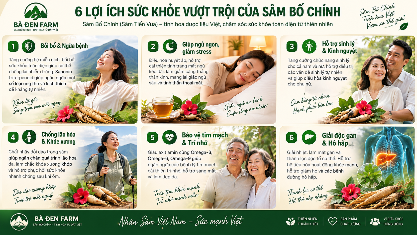 6 Lợi ích sức khỏe vượt trội của Sâm Bố Chính Bà Đen Farm