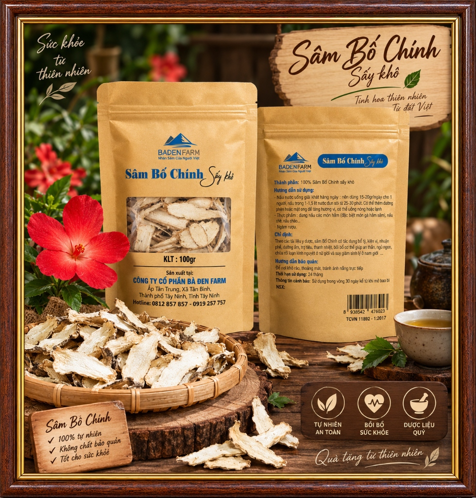 Sâm Bố Chính Sấy Lát