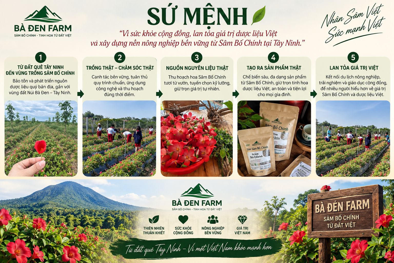 Sứ mệnh Bà Đen Farm - Vì sức khỏe cộng đồng, lan tỏa giá trị dược liệu Việt